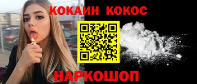 крисы Пенза