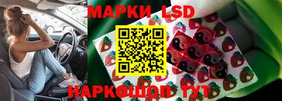 крисы Пенза