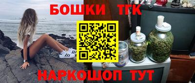 крисы Пенза
