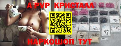 крисы Пенза