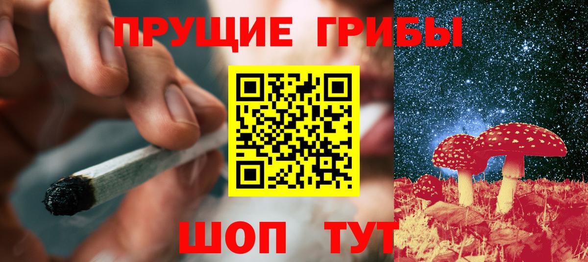 Галлюциногенные грибы Cubensis Острогожск